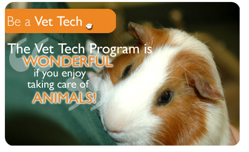 Veterinary Technician program