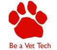 Be a Vet Tech