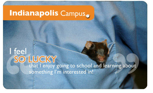 Indianapolis Vet Tech