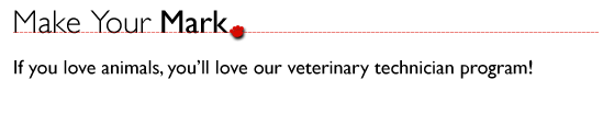 If you love animals, you'll love our veterinary technician program!