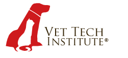 <b>Vet Tech Institute</b>