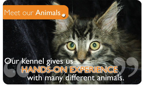 Animal health care