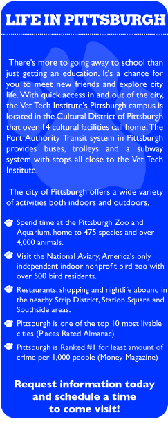 Vet Tech Institute