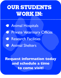 Vet Tech Institute